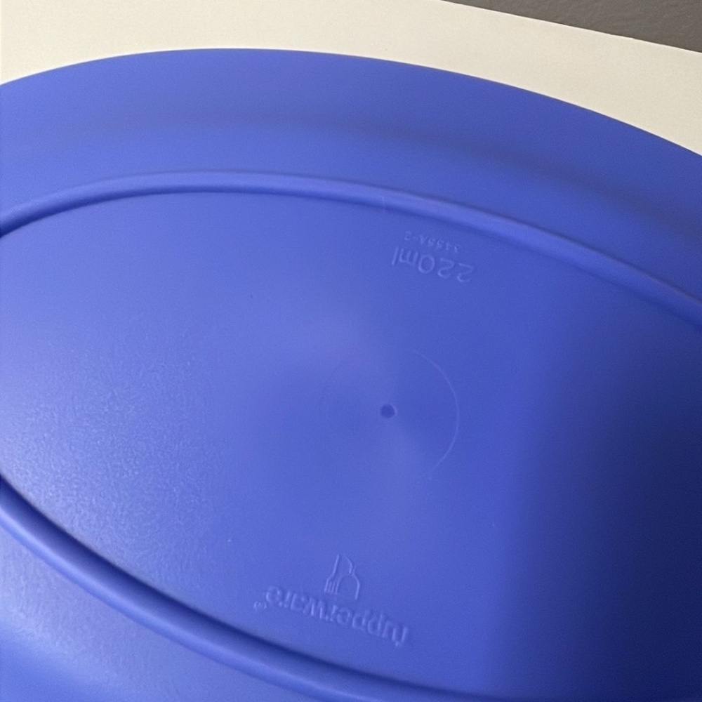 Tupperware Blue Oval Plates Set of 5 Approx 7 x 10.5 Inches - Picture 4 of 4